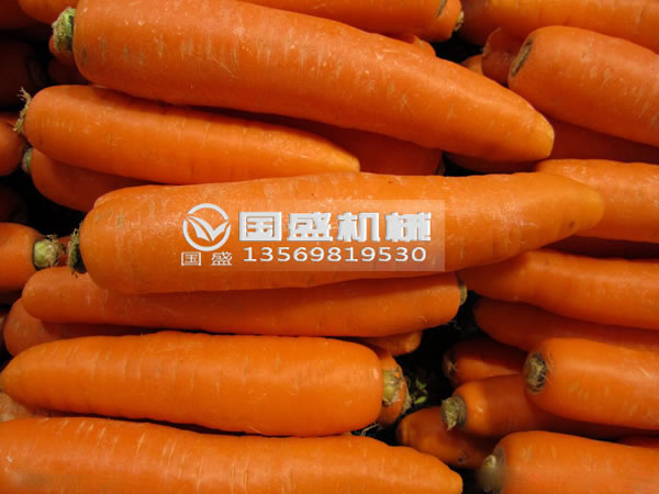 榴莲视频在线免费观看胡萝卜脱水挤压机 榴莲视频在线免费观看胡萝卜脱水挤压机