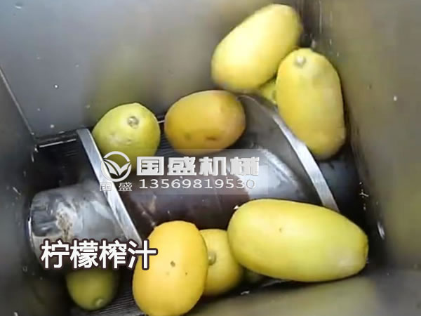 榴莲视频在线免费观看新款大型柠檬榨汁机 榴莲视频在线免费观看新款大型柠檬榨汁机